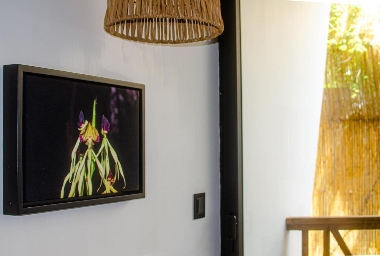 Ximena Hotel Boutique Sayulita Exterior foto